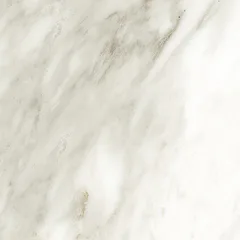 Venato