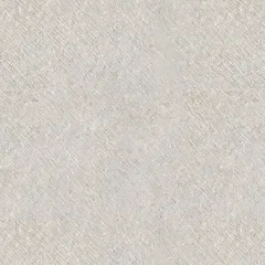 Sand Venera