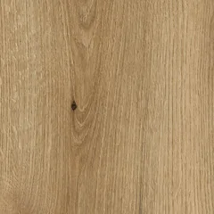 Coast Evoke Oak